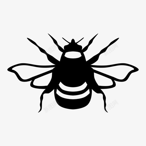 蜜蜂大黄蜂蜂蜜图标svg_新图网 https://ixintu.com 传粉者 大黄蜂 昆虫 蜂蜜 蜜蜂