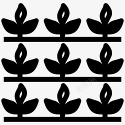 天然生长农作物树叶天然图标高清图片
