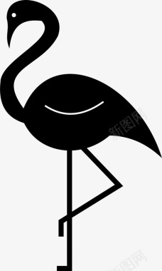火烈鸟动物鸟图标图标