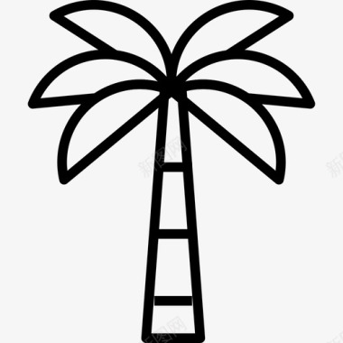 棕榈树椰子冬青树图标图标