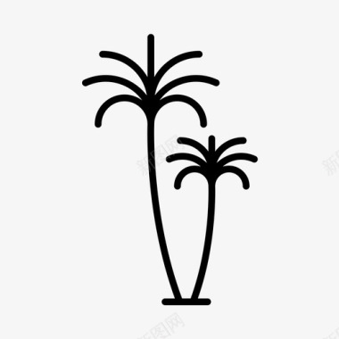 棕榈树洛杉矶昆士兰图标图标