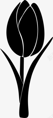 郁金香美丽花园图标图标