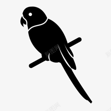 鹦鹉鸟生物图标图标