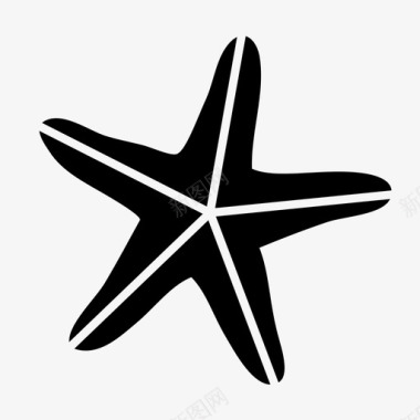 海星海滩海洋图标图标