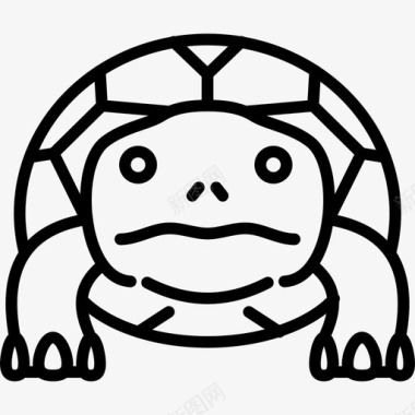 乌龟动物脸图标图标