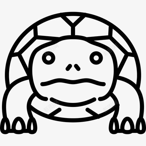 乌龟动物脸图标svg_新图网 https://ixintu.com 乌龟 动物 脸