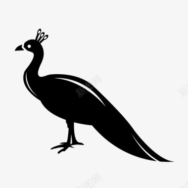 孔雀动物鸟图标图标