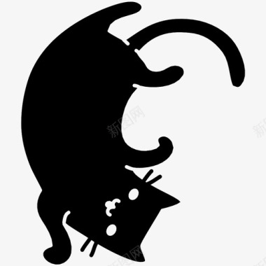 猫肚子可爱猫图标图标