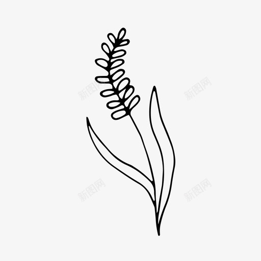 植物装饰沙漠图标svg_新图网 https://ixintu.com 植物 沙漠 自然 装饰