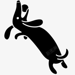达克斯猎犬狗玩球狗达克斯猎犬图标高清图片