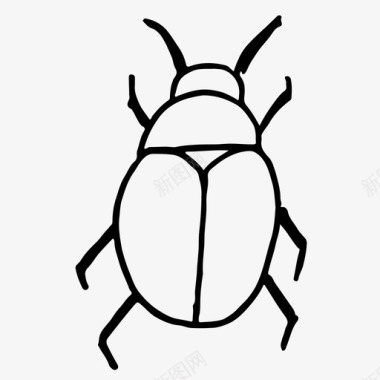 虫子手绘昆虫图标图标