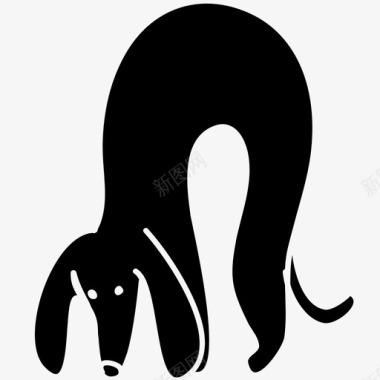 狗预感动物腊肠图标图标