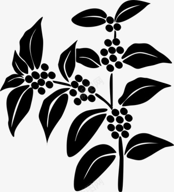 咖啡树咖啡豆植物图标图标