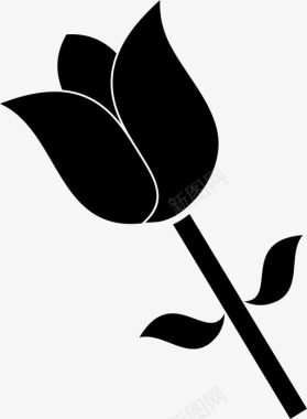 郁金香花植物图标图标