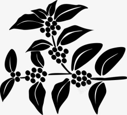 植物产品咖啡树咖啡豆植物产品图标高清图片