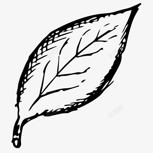 叶子秋天手绘图标svg_新图网 https://ixintu.com 叶子 手绘 秋天 素描 自然