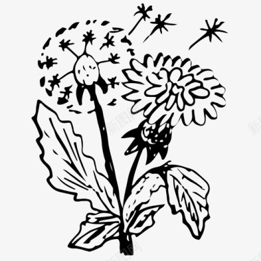 蒲公英花朵手绘图标图标
