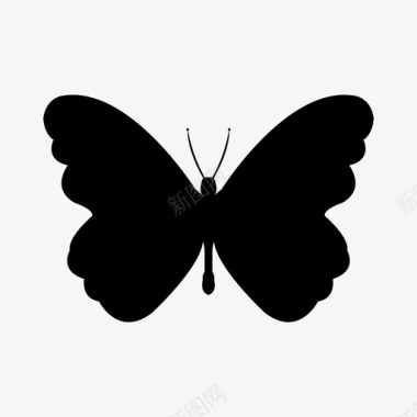 蝴蝶动物美丽图标图标