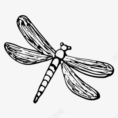 蜻蜓虫子手绘图标图标