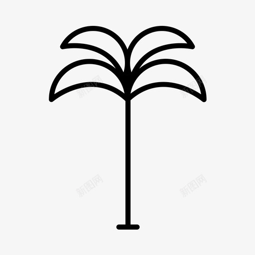 热带棕榈树图标svg_新图网 https://ixintu.com 热带棕榈树