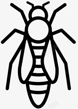 蜂王虫子蜂蜜图标图标