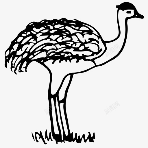 鸵鸟鸸鹋动物手工绘制图标svg_新图网 https://ixintu.com 动物 天然 手工绘制 鸵鸟鸸鹋