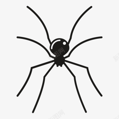 蜘蛛蜘蛛纲节肢动物图标图标