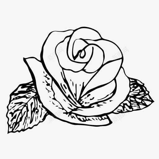 玫瑰花手绘图标svg_新图网 https://ixintu.com 手绘 植物 玫瑰 玫瑰纹身 素描 花