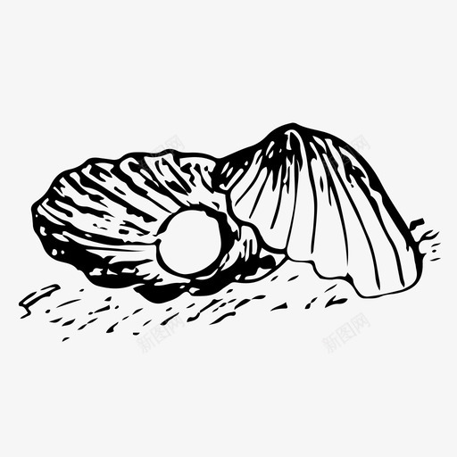 贝壳蛤蜊海洋图标svg_新图网 https://ixintu.com 大海 手工绘制 海洋 珍珠 蛤蜊 贝壳