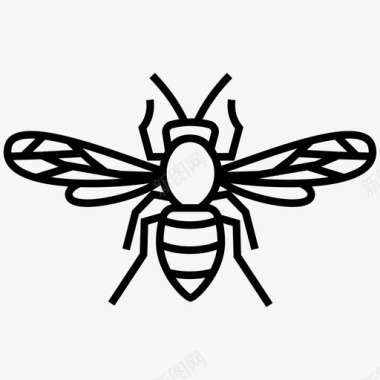 大黄蜂蜜蜂昆虫图标图标