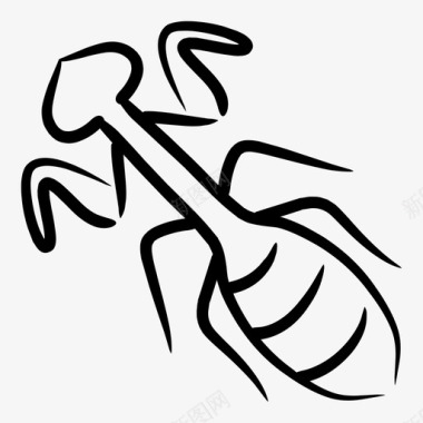螳螂虫子昆虫图标图标