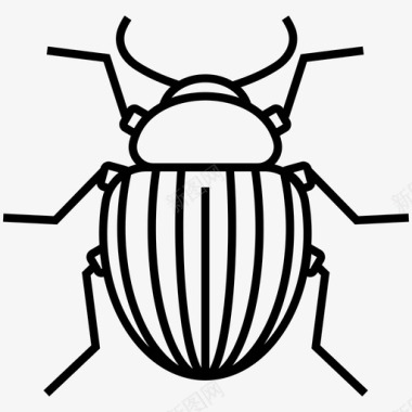 科罗拉多甲虫虫子昆虫图标图标