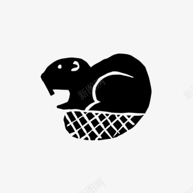 海狸动物加拿大图标图标