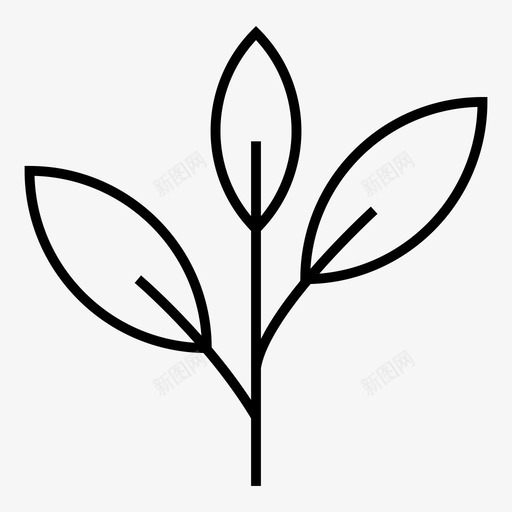 植物生长叶图标svg_新图网 https://ixintu.com 叶 植物 生长 科学细线 自然