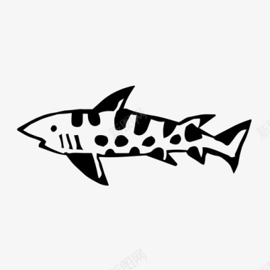 豹鲨动物鱼图标图标