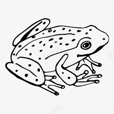 青蛙动物自然图标图标