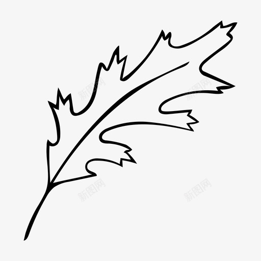 红橡木叶秋季手绘图标svg_新图网 https://ixintu.com 2017年秋季 手绘 秋季 红橡木叶