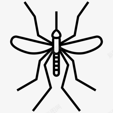 蚊子虫子昆虫图标图标