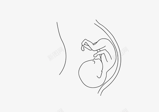子宫婴儿孩子图标图标