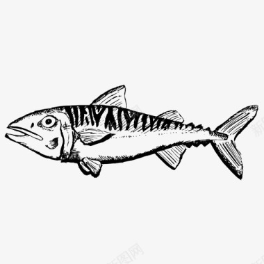 鲭鱼动物鱼图标图标