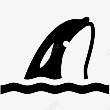 虎鲸鱼类哺乳动物图标图标