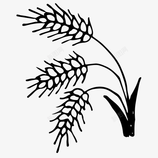 小麦穗手绘图标svg_新图网 https://ixintu.com 小麦 手绘 穗 素描 自然