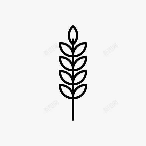 燕麦食物谷物图标svg_新图网 https://ixintu.com 小麦 植物 燕麦 蔬菜 谷物 食物