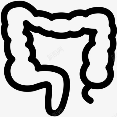大肠肠结肠图标图标