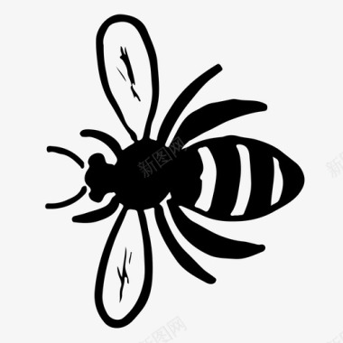 蜜蜂苍蝇手绘图标图标