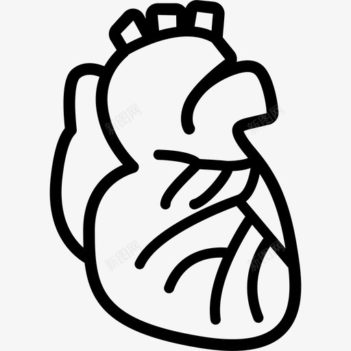 心脏动脉心脏病学图标svg_新图网 https://ixintu.com 人体 动脉 医疗保健2 器官 心脏 心脏病学