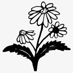 手绘洋甘菊洋甘菊甘菊花朵图标高清图片
