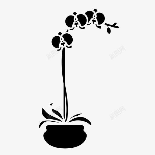 兰花植物区系室内植物图标svg_新图网 https://ixintu.com 兰花 室内植物 植物区系 盆栽植物