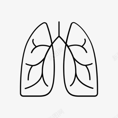 肺解剖学人肺图标图标
