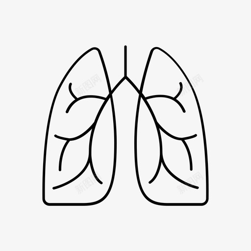 肺解剖学人肺图标svg_新图网 https://ixintu.com 人肺 医学图标 呼吸 肺 解剖学